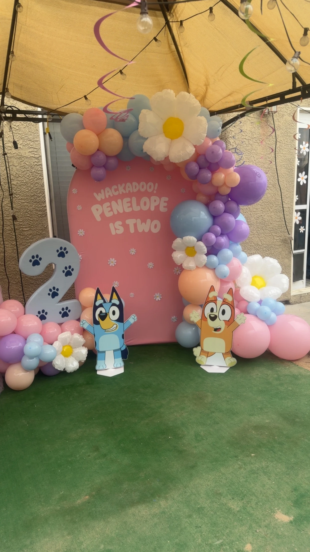 Full view of the Bluey second birthday setup with pastel balloons and a paw-print number two